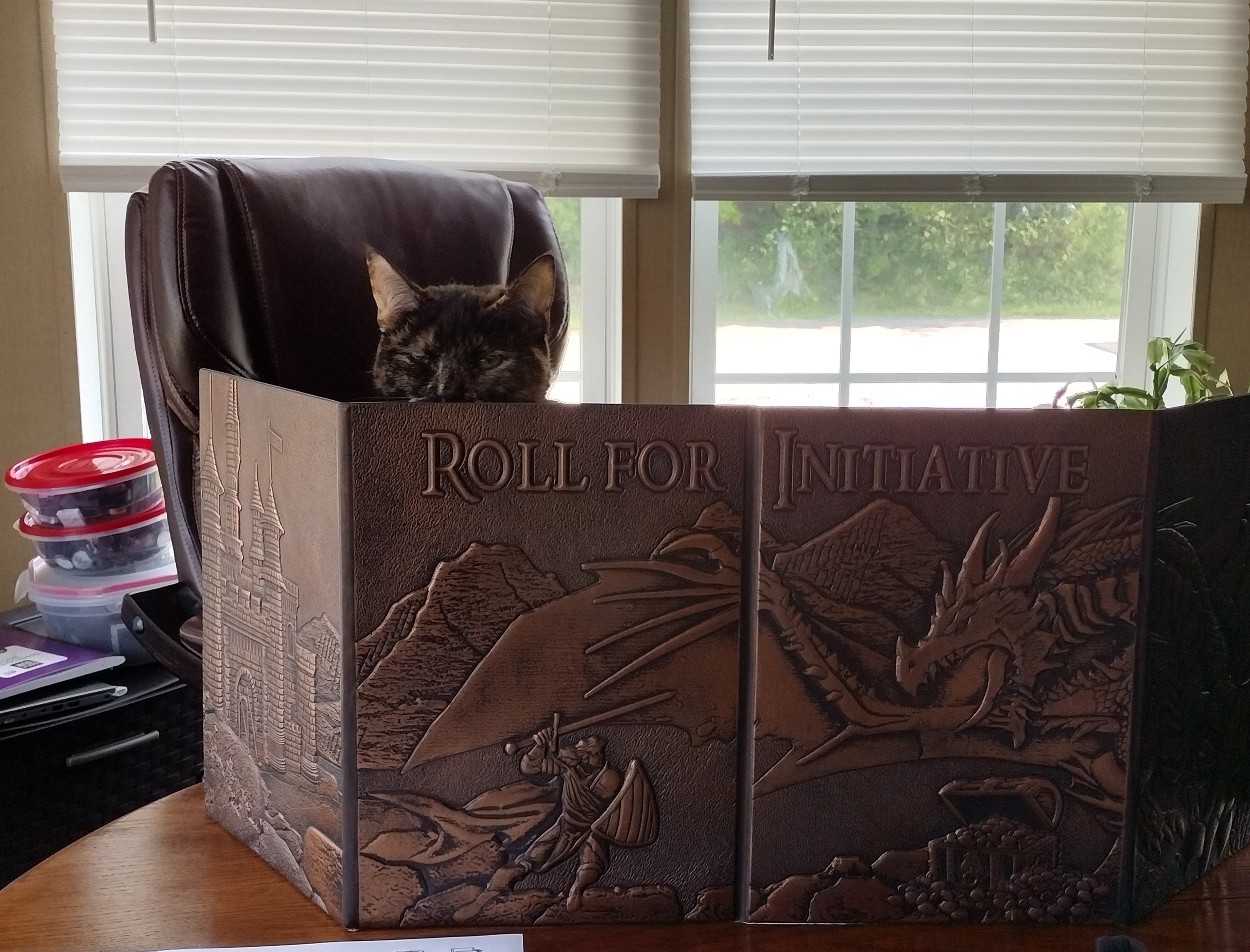 My Cat at My DM Screen